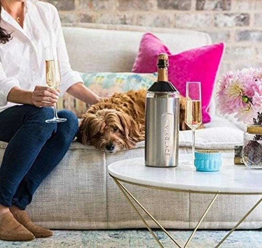 Wine Bottle Chiller- Portable Champagne Insulator- Stainless Steel Wine Cooler Sleeve - Keeps Wine Cold (Stainless Steel)